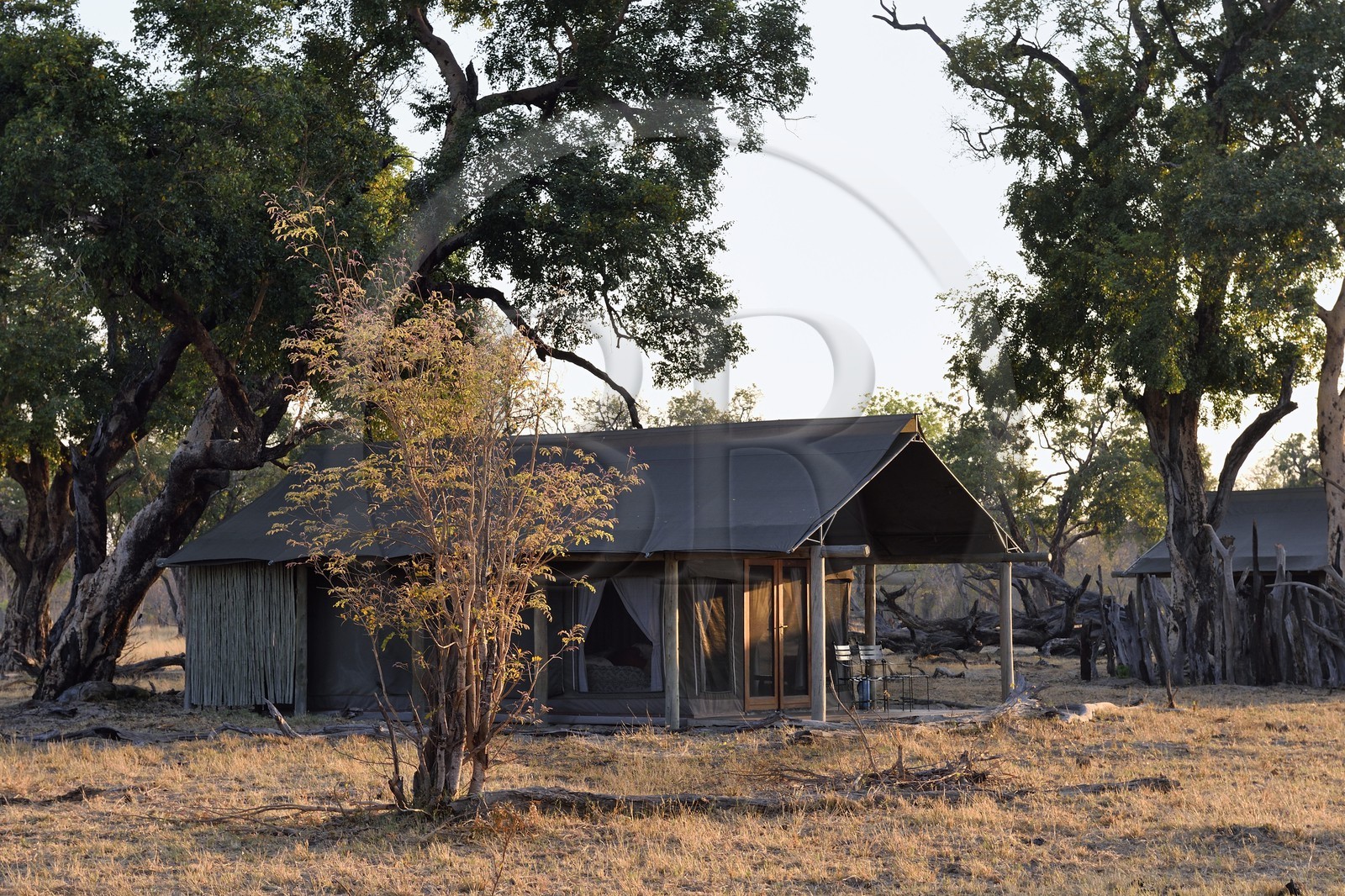 Zimbabwe, province de Matabeleland septentrional, parc national Hwange, une tente du Wilderness Safaris Davison's Camp