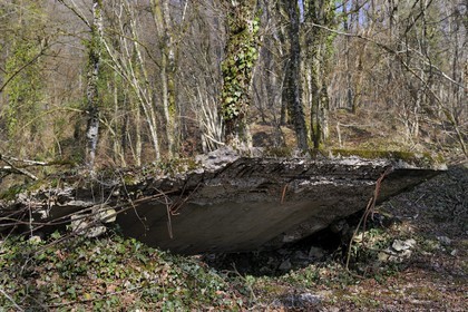 France, Meuse, Verdun area, the Fort de Souville, traces of a bombed concrete bunker
