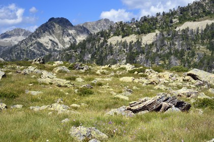 France, Hautes-Pyrénées (65), Saint-Lary-Soulan et Vielle-Aure, randonnée sur une variante du GR10 entre le col de Portet et les lacs de Bastan en bordure de la réserve naturelle de Néouvielle