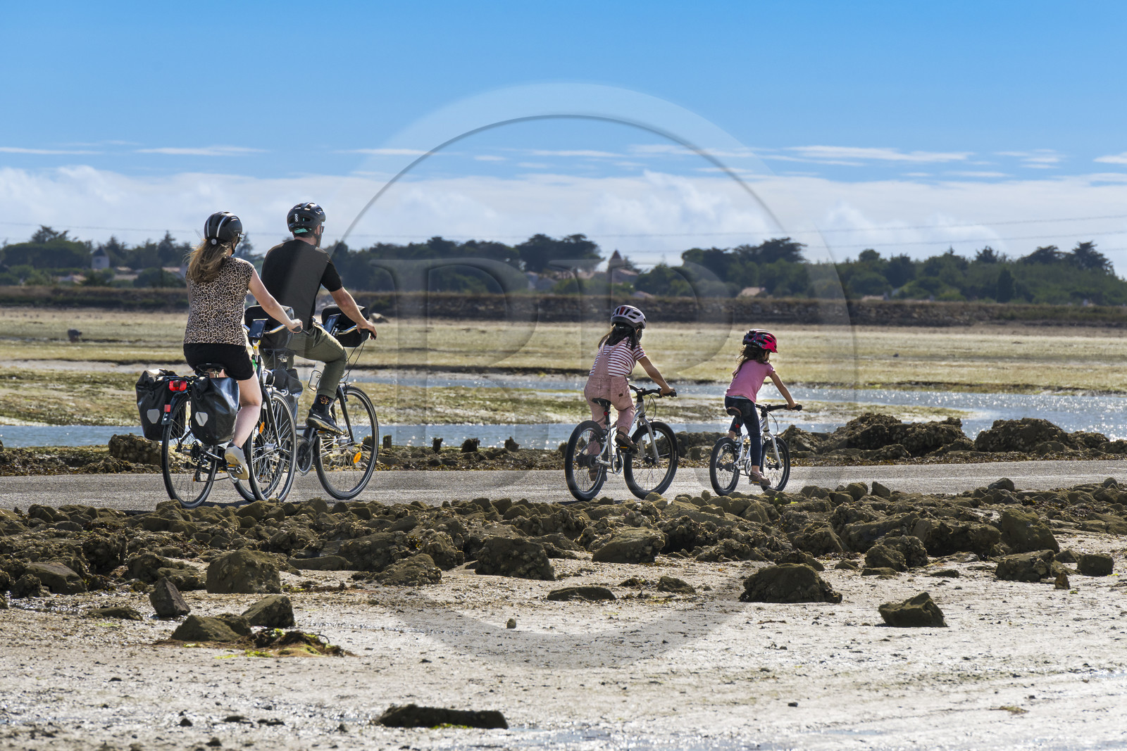 France, Vendée (85), île de Noirmoutier, Barbatre, cyclistes sur le passage du Gois, chaussée submersible qui relie l'île au continent à marrée basse