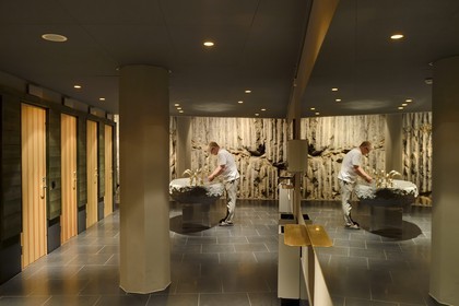 Suède, archipel de Stockholm, Gustavsberg, le centre d'art et d'exposition Artipelag, les toilettes aux parois rocheuses