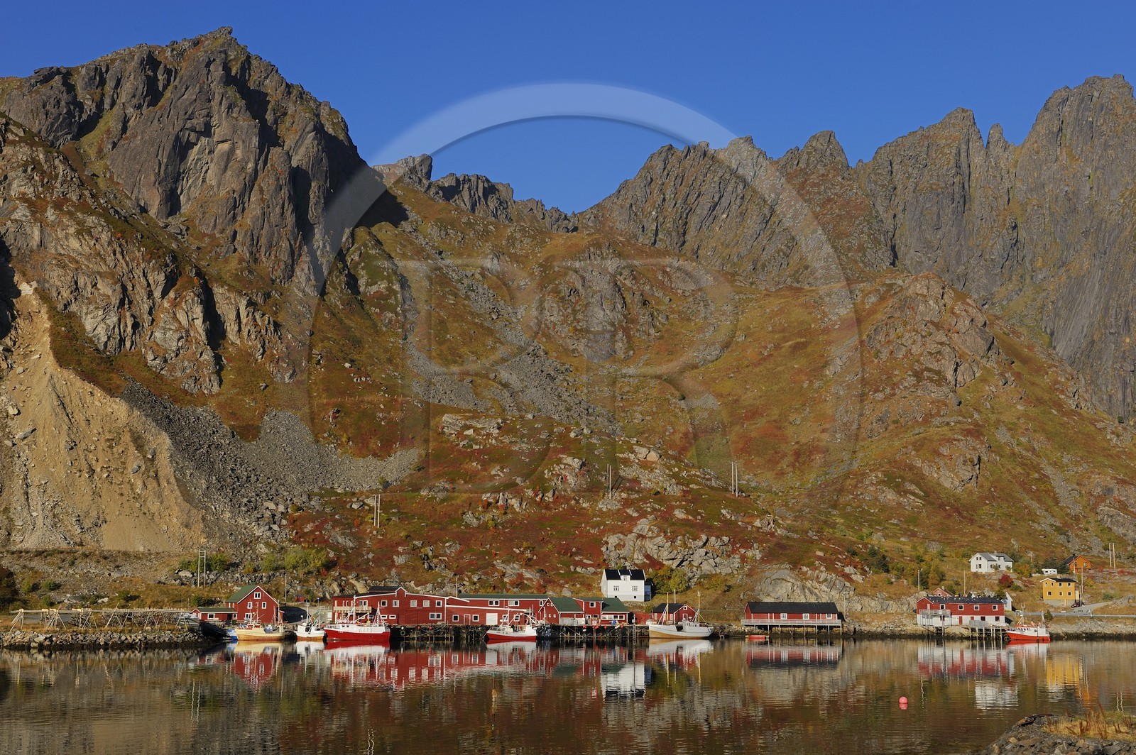 Norvège, Nordland, Iles Lofoten, port de pêche de Ballstad dans l'île de Vestvagoy