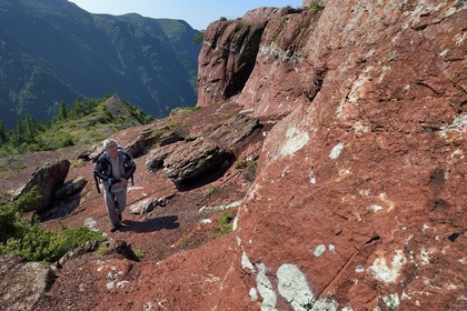 France, Alpes Maritimes, Mercantour Massif, L'Ilion, on the heights of the Gorges of Cians in red lutite soil