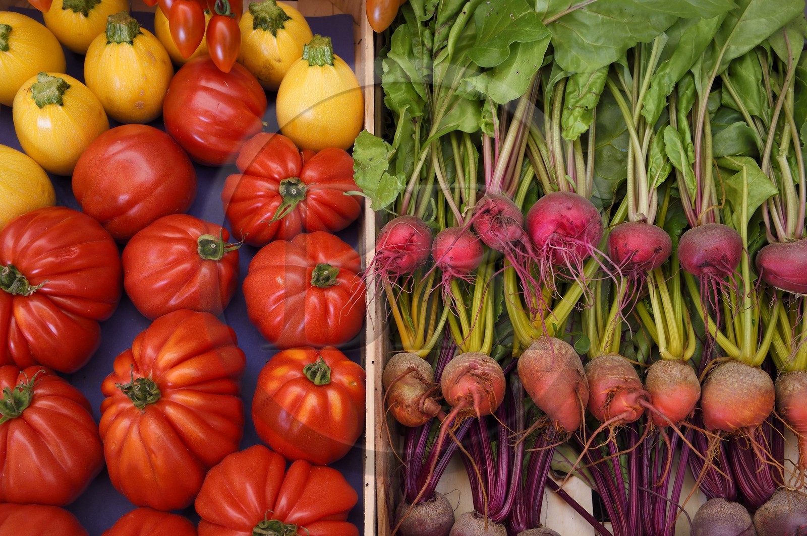 France, Alpes-Maritimes, Antibes, vegetable basket
