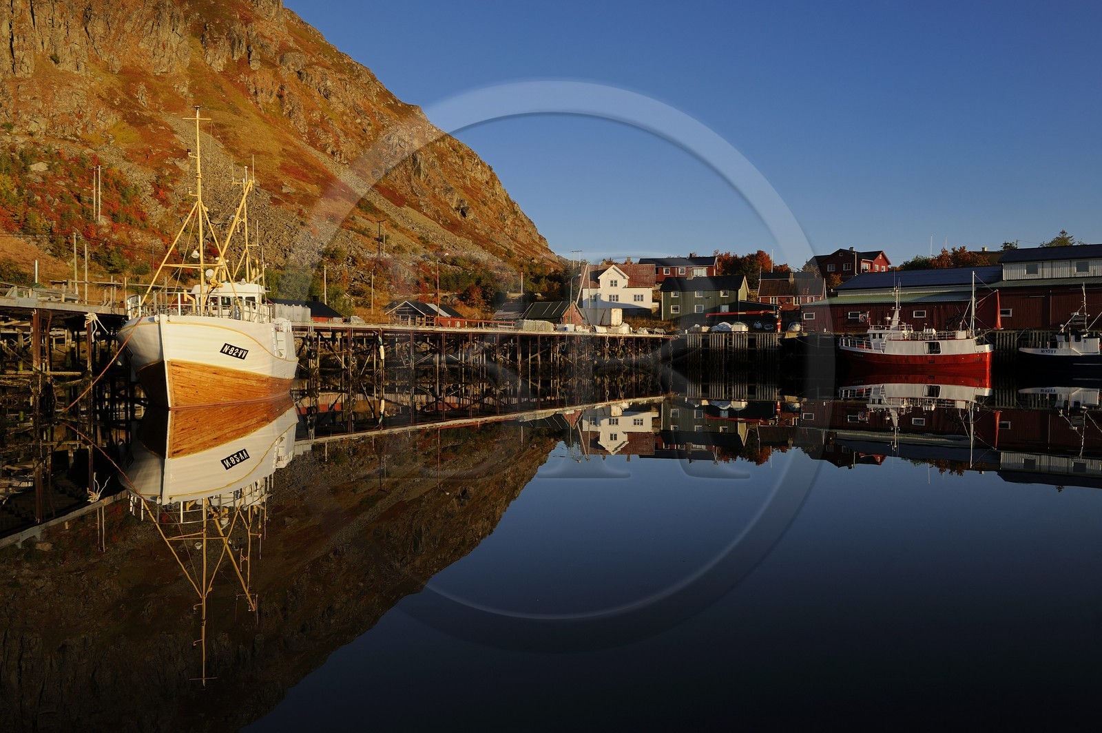 Norvège, Nordland, Iles Lofoten, port de pêche de Ballstad dans l'île de Vestvagoy