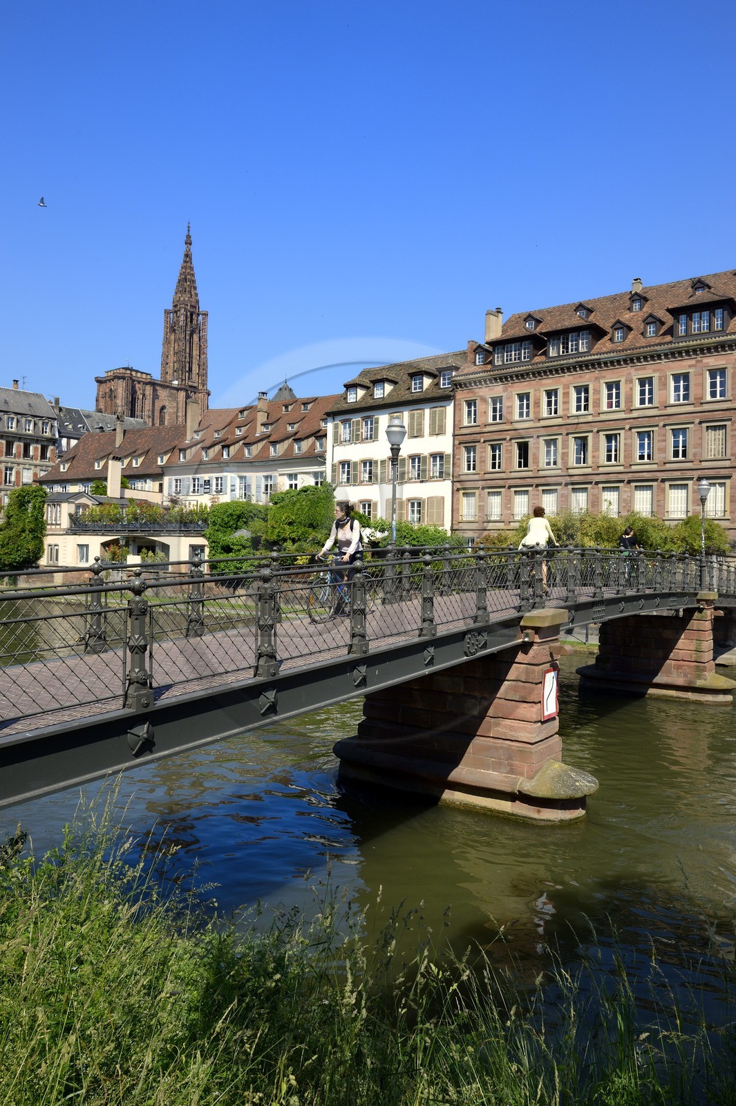 France, Bas-Rhin (67), Strasbourg, les bords de l'ill face au quai des Bateliers, la cathédrale et la Passerelle de l'Abreuvoir