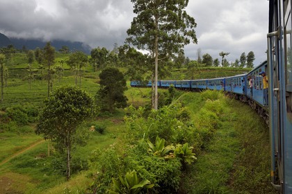 Sri Lanka, Central Province, the popular scenic train ride through the tea growing hill country between Hatton and Badulla, here between Talawakele and Great Western