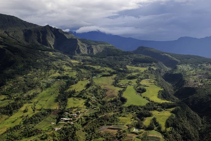France, Ile de la Reunion, la foret domaniale des Makes en bordure du cirque de Cilaos (vue aérienne)