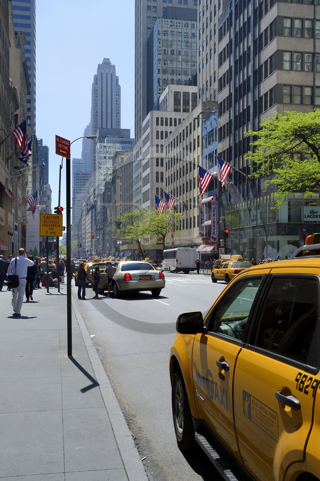United States, New York, Manhattan, Midtown, pedestrians on the 5th Avenue