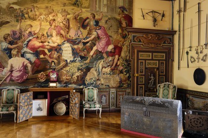 France, Loir et Cher, Chateau de Cheverny, Tapestry of Frandre in the Weapons room