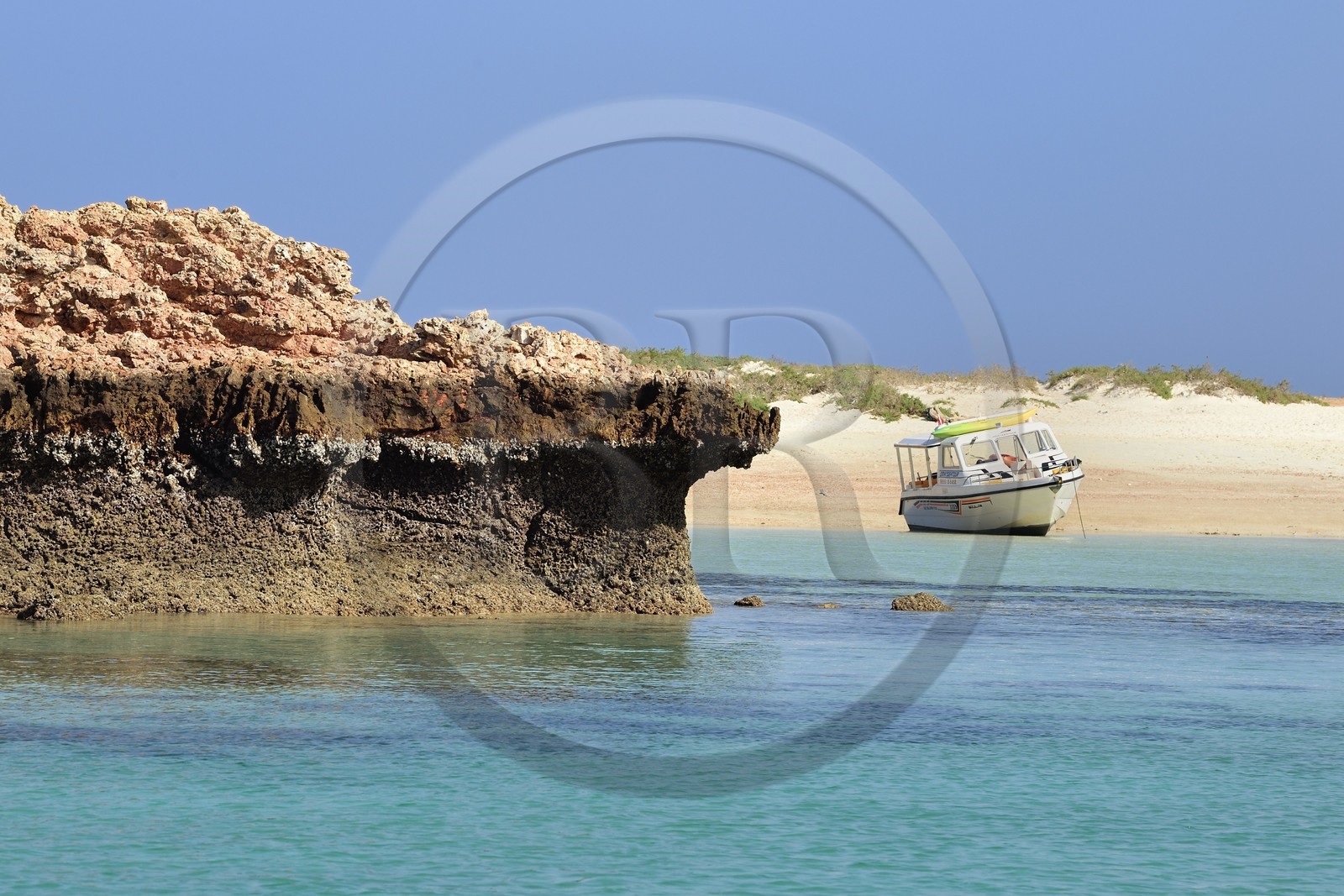 Sultanat d'Oman, gouvernorat de Mascate, réserve naturelle des Iles Daymaniyat, plage