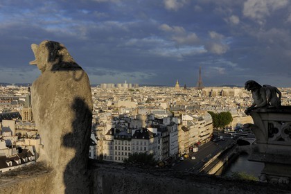 France, Paris (75), les rives de la Seine classées Patrimoine Mondial de l'UNESCO, île de la Cité, la cathédrale Notre-Dame, les chimères de la Tour Sud observent la ville