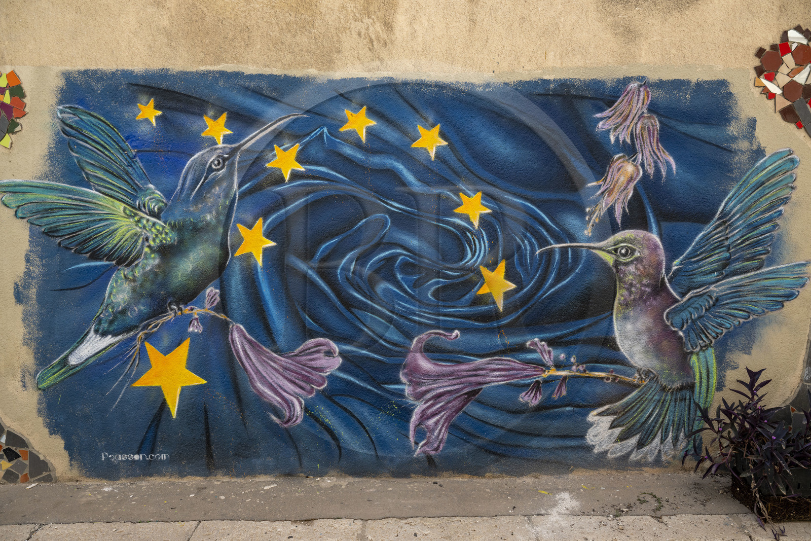 France, Bouches-du-Rhône (13), Marseille, quartier du Panier, peinture murale réalisée par le street artiste Loïc Perrel dit Poasson dans la rue de l'hotel Dieu