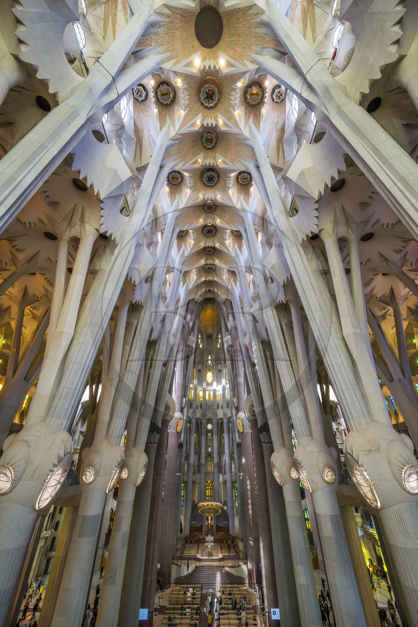 Spain, Catalonia, Barcelona, Eixample district, Sagrada Familia basilica by Catalan modernist architect Antoni Gaudi, listed as a UNESCO World Heritage Site, the choir, the ciborium, the dome and the vault of the Nave at the top seen from the Glory facade