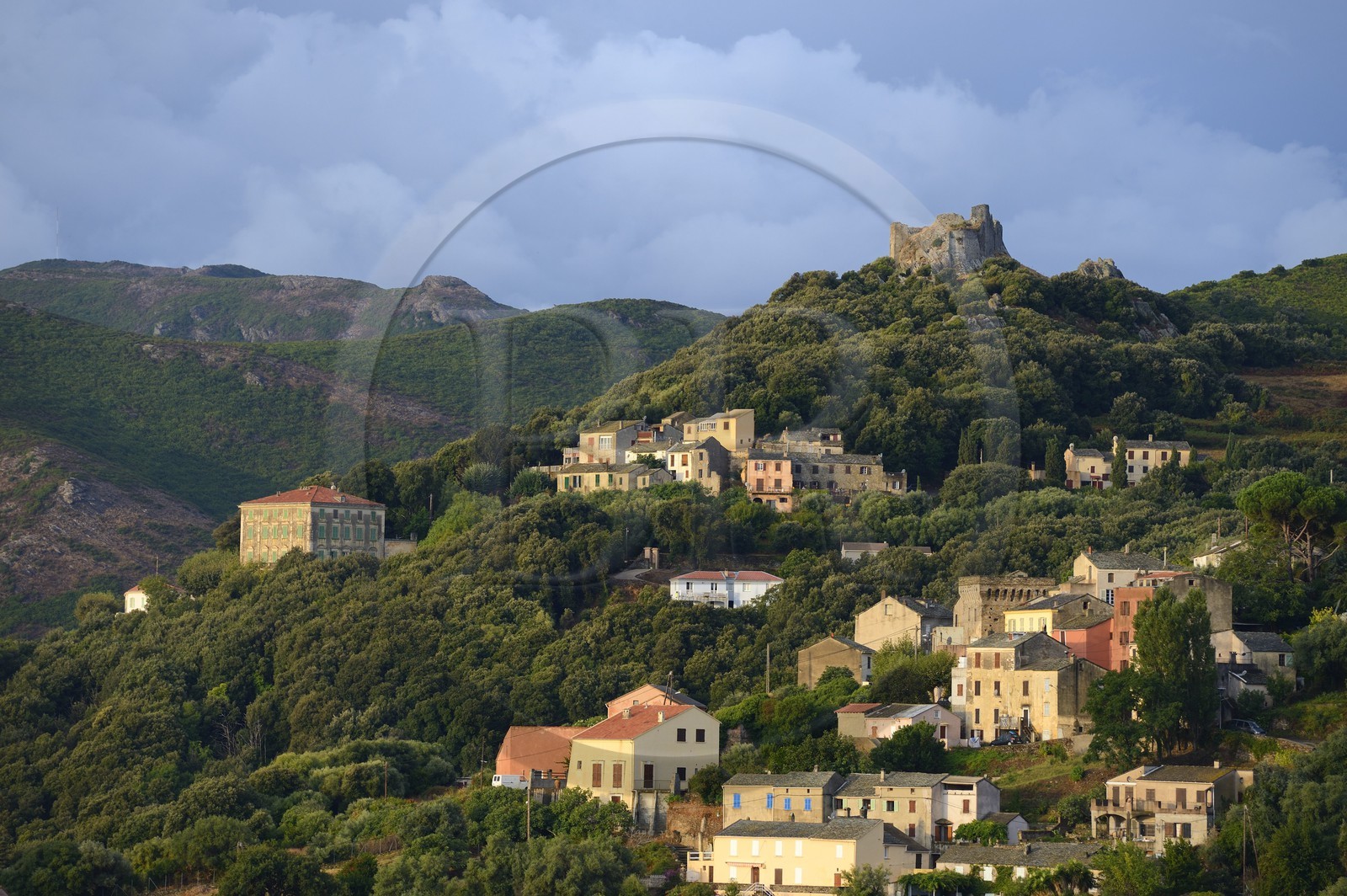 France, Haute Corse, Cap Corse, Rogliano municipality, village of Bettolacce (Bettulace),