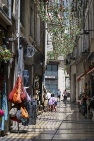 France, Vaucluse (84), Avignon, la rue des Fourbisseurs piétonne