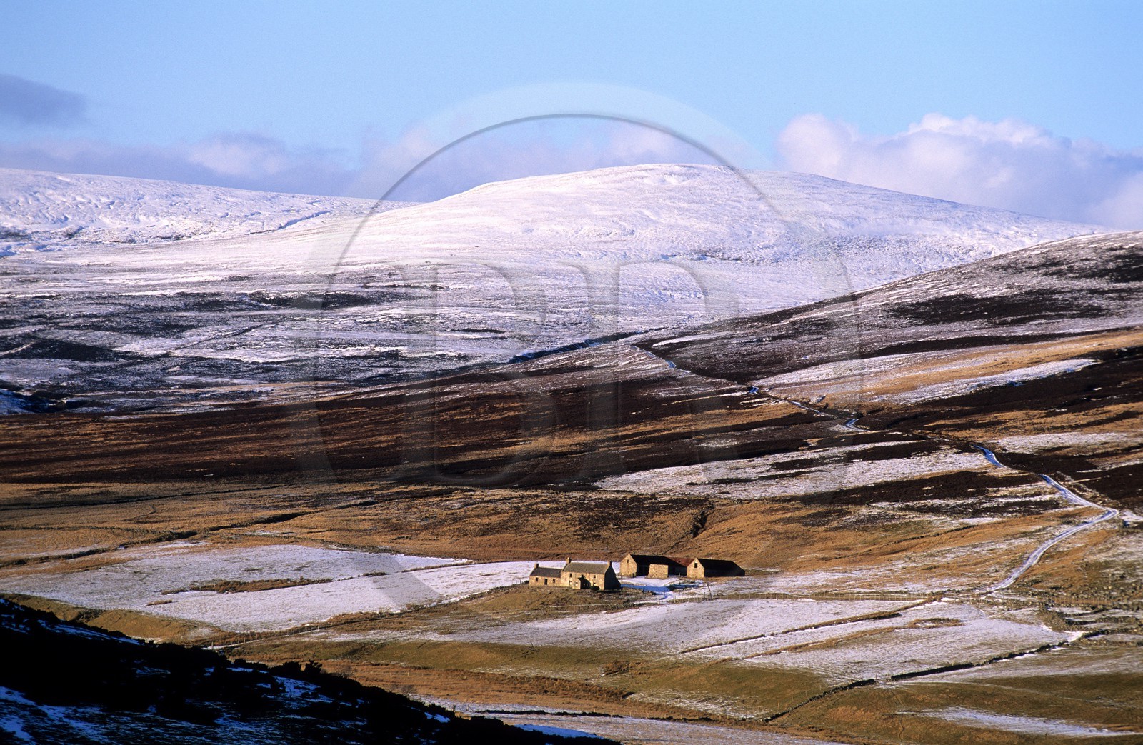 Royaume-Uni, Ecosse, Aberdeenshire, les collines enneigées