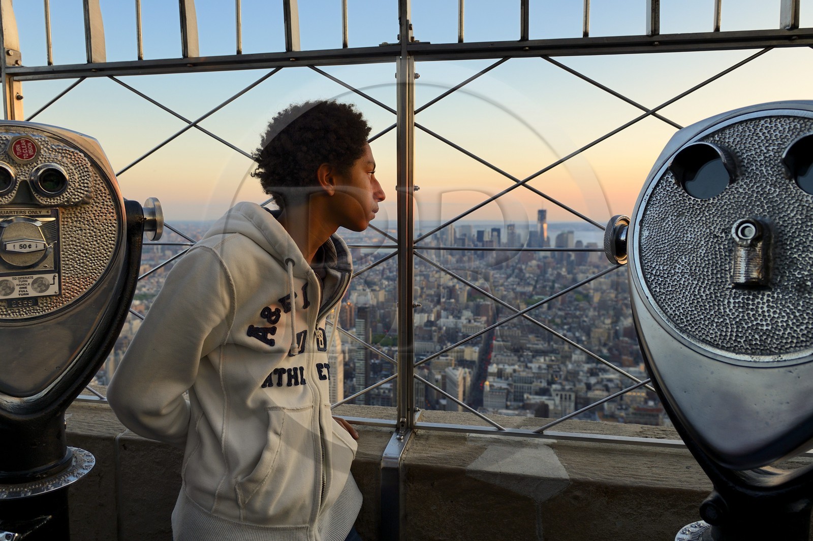 Etats-Unis, New York, Manhattan, vue depuis l'Empire State Building sur la partie sud de Manhattan et le One World Trade Center (1WTC)