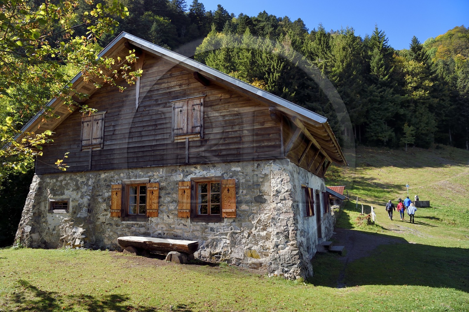 France, Haut Rhin, Ballons des Vosges Regional Natural Park, Storckensohn, La Tete des Perches mountain, the chaume de Gazon vert (extensive altitude grazing), the refuge in a former farm