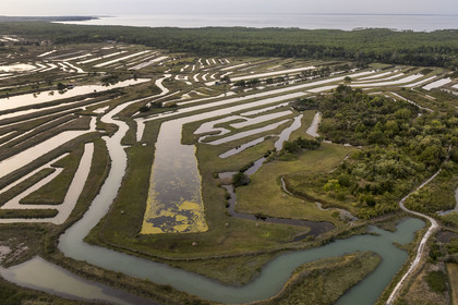 France, Charente-Maritime (17), Ile d'Oléron, Saint-Georges-d'Oléron, les anciens marais salants qui servent aujourd'hui de zone d'affinage des huitres, les claires, et d'élevage de crevettes (vue aérienne)