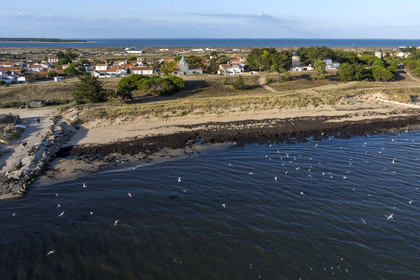 France, Vendée, Noirmoutier island, La Guérinière, La Court beach and La Court mills (aerial view)
