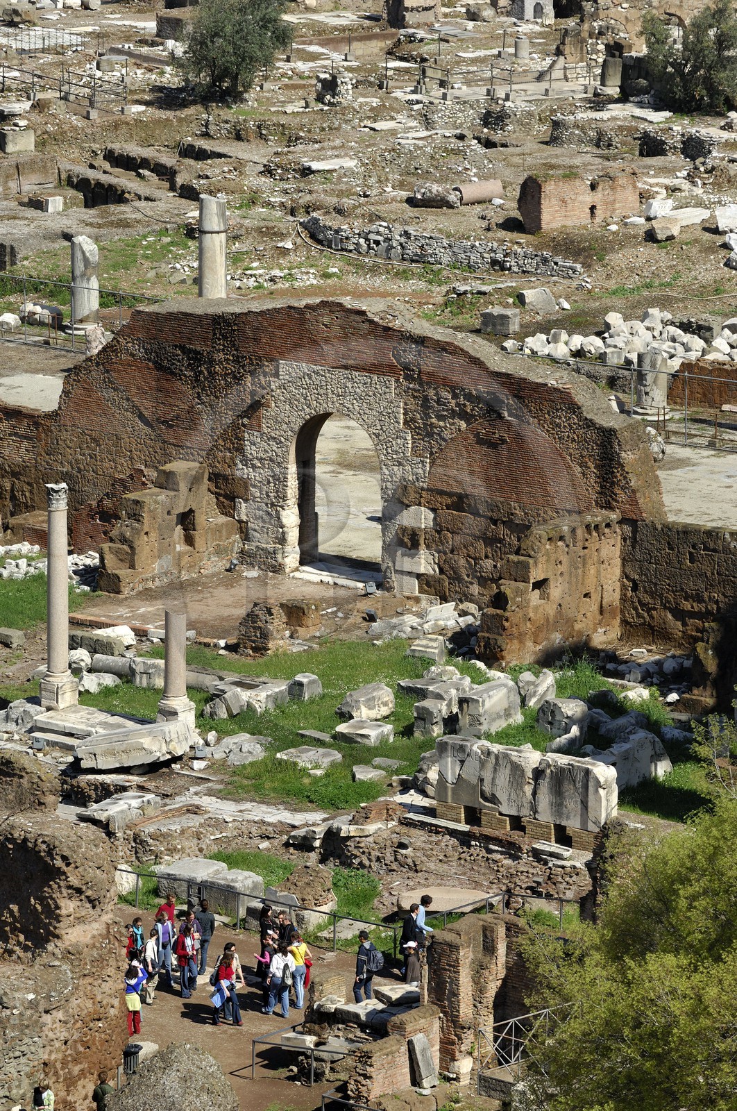Italie, Latium, Rome, centre historique classé Patrimoine Mondial de l'UNESCO, le forum Romain