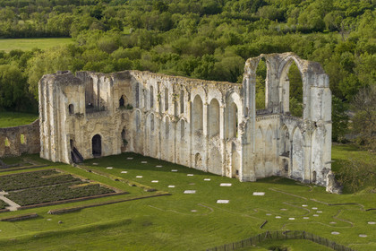France, Vendée (85), Parc Interrégional du Marais Poitevin labellisé Grand Site de France, Maillezais, vestiges de l'abbaye Saint-Pierre de Maillezais (vue aérienne)