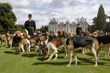 France, Loir et Cher, Chateau de Cheverny, the hunstmen Vol au Vent and La Rosée, who manage the pack of 90 dogs for hunting