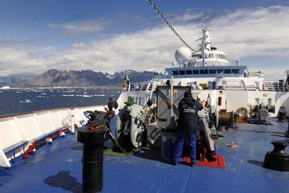 Greenland, Nanortalik Fjord, Princess Danae cruise ship moving between the icebergs