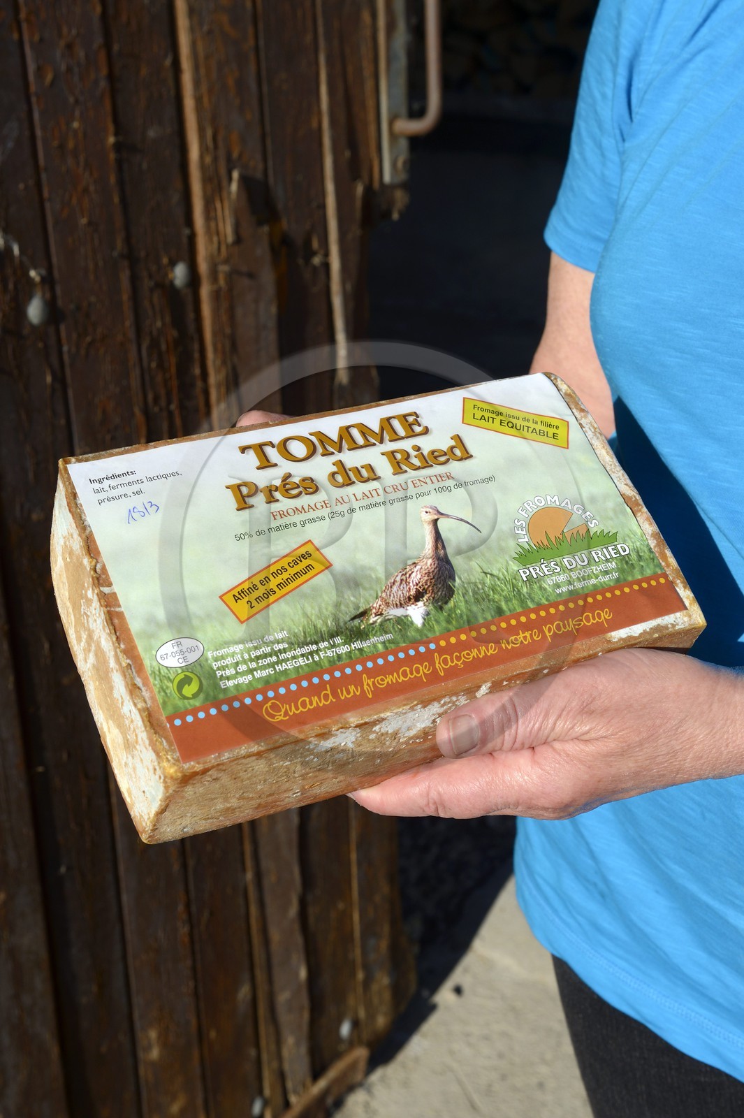 France, Bas-Rhin (67), Muttersholtz, tomme fromage du Grand Ried