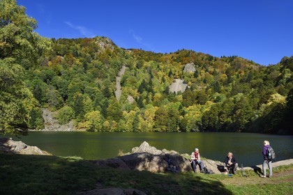 France, Haut-Rhin (68), Parc naturel régional des ballons des Vosges, Rimbach-près-Masevaux, randonneur marchant sur le GR 531 au Lac des Perches en dessous de Gazon Rouge dans les Vosges