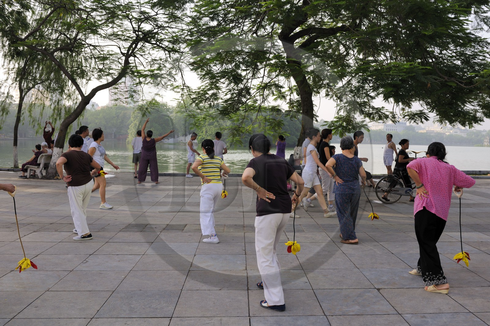 Vietnam, Hanoï, vieille ville, lac Hoan Kiem appelé le petit lac ou lac de l'épée restituée, femmes pratiquant le Tai chi