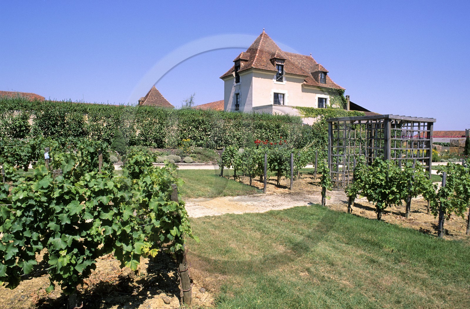 France, Gers (32), vignoble