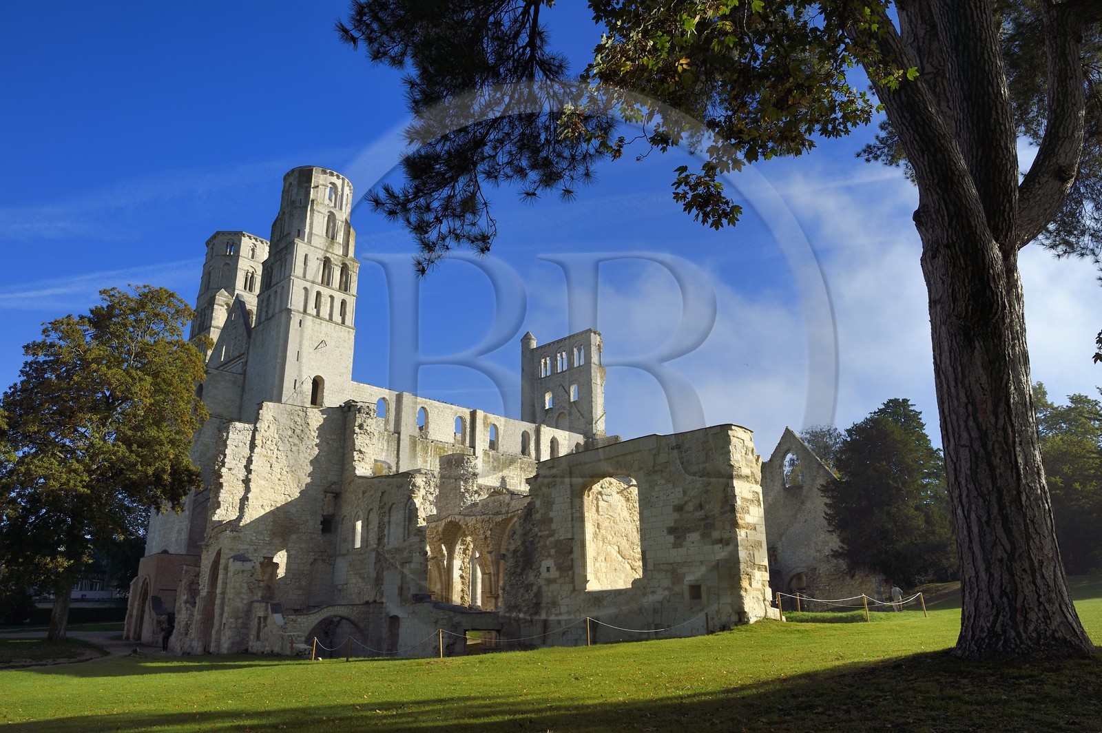France, Seine-Maritime (76), Pays de Caux, Parc naturel régional des Boucles de la Seine normande, Jumièges, abbaye Saint-Pierre de Jumièges fondée au VIIe siècle