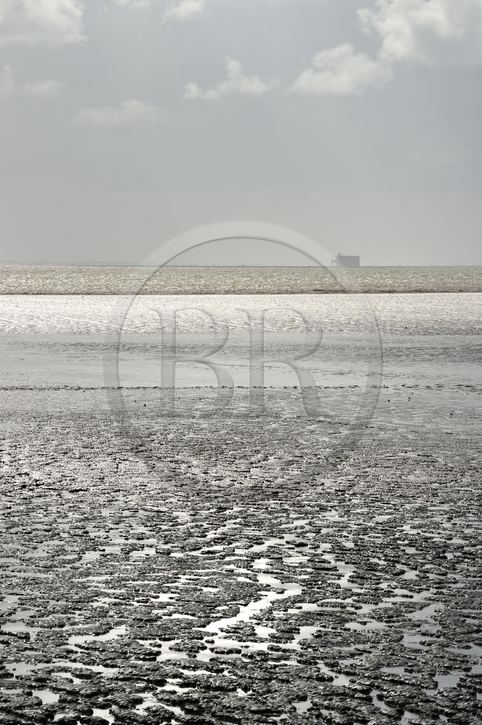 France, Charente-Maritime (17), Fouras, plage de l'Espérance découverte par la marée et le Fort Boyard