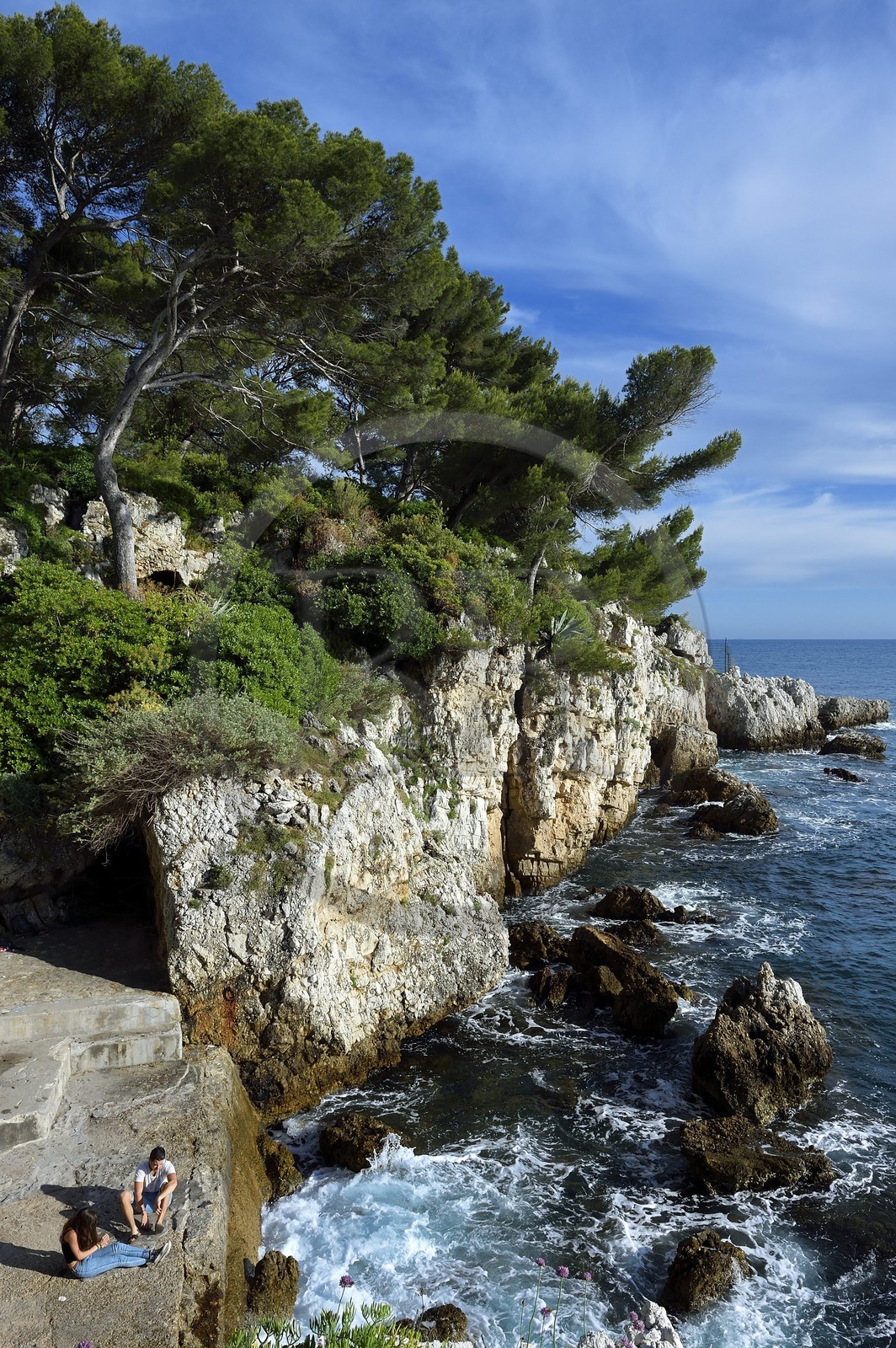 France, Alpes-Maritimes (06), Antibes, Cap d'Antibes, le sentier du Littoral Tire-poil (ou chemin des douaniers) à l'Anse de l'Argent Faux