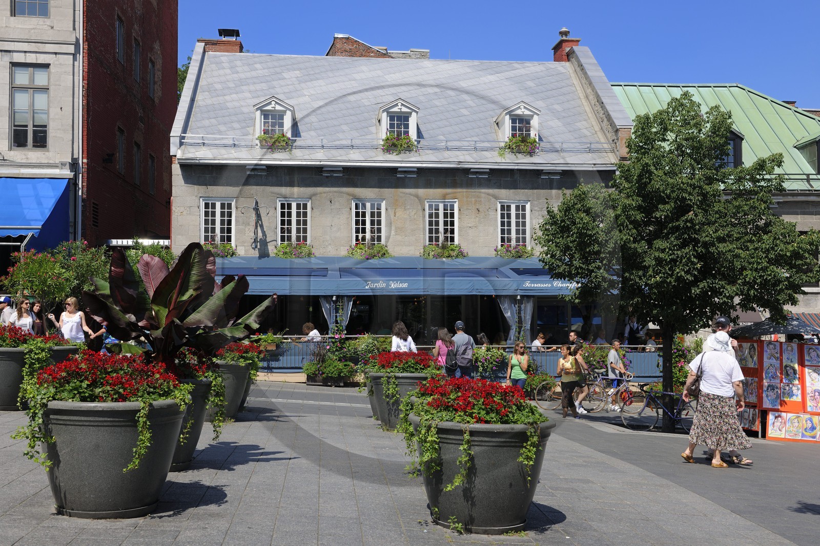 Canada, province de Québec, Montréal, quartier du Vieux-Montréal, quartier du Vieux-Port, place Jacques-Cartier