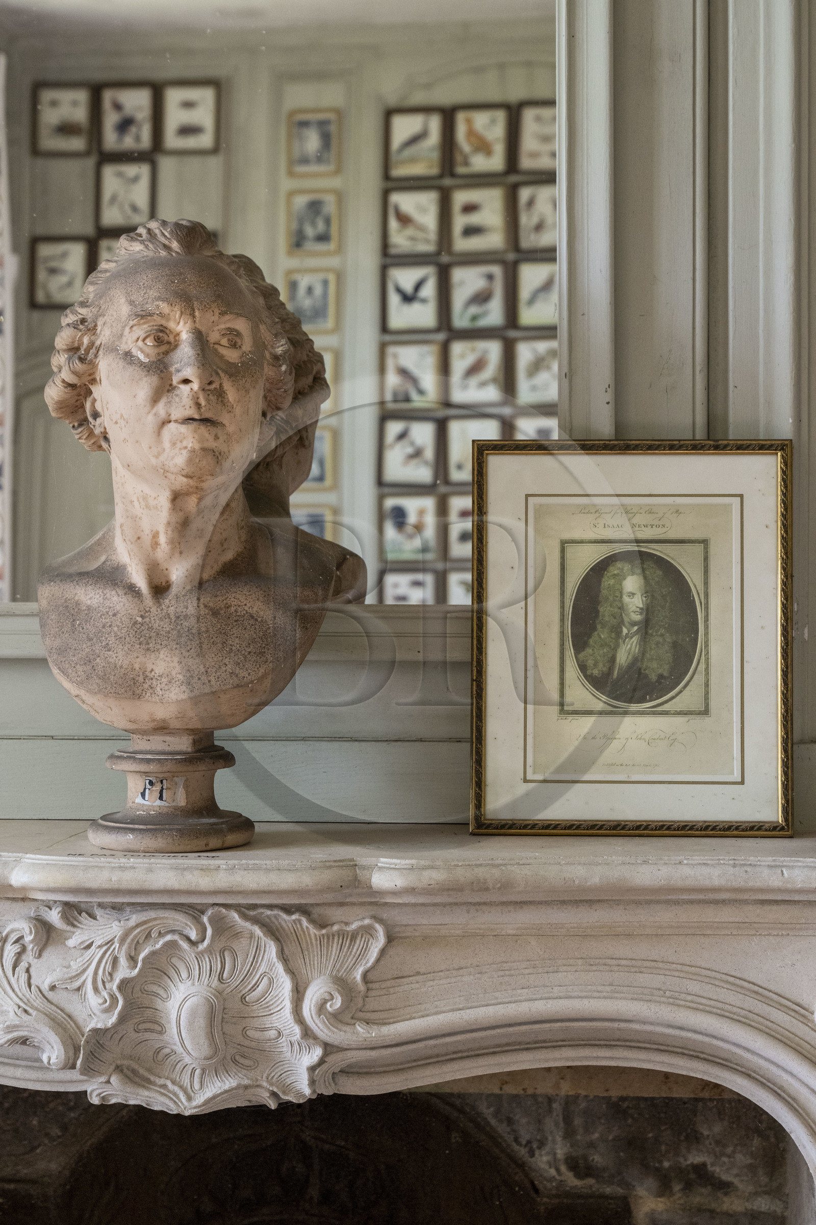 France, Côte-d'Or (21), Montbard, Musée Parc Buffon, buste du naturaliste Georges-Louis Leclerc de Buffon dans son cabinet de travail et gravure représentant Issac Newton