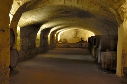 France, Maine et Loire, Chateau de Montreuil Bellay, cellars