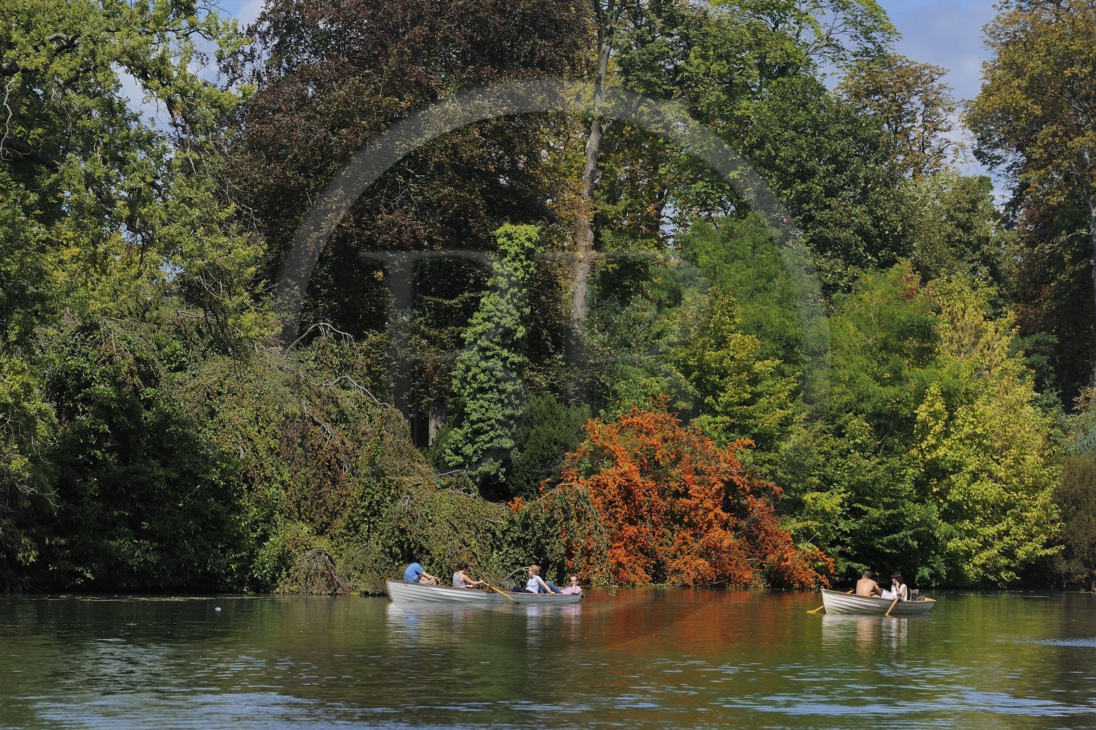 France, Paris (75), le Bois de Boulogne, promenade en barque autours des iles du Lac Inférieur
