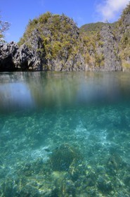 Philippines, Calamian Islands in northern Palawan, Coron Island Natural Biotic Area, Coral reef in a lagoon under Permian Limestone of Jurassic origin cliffs