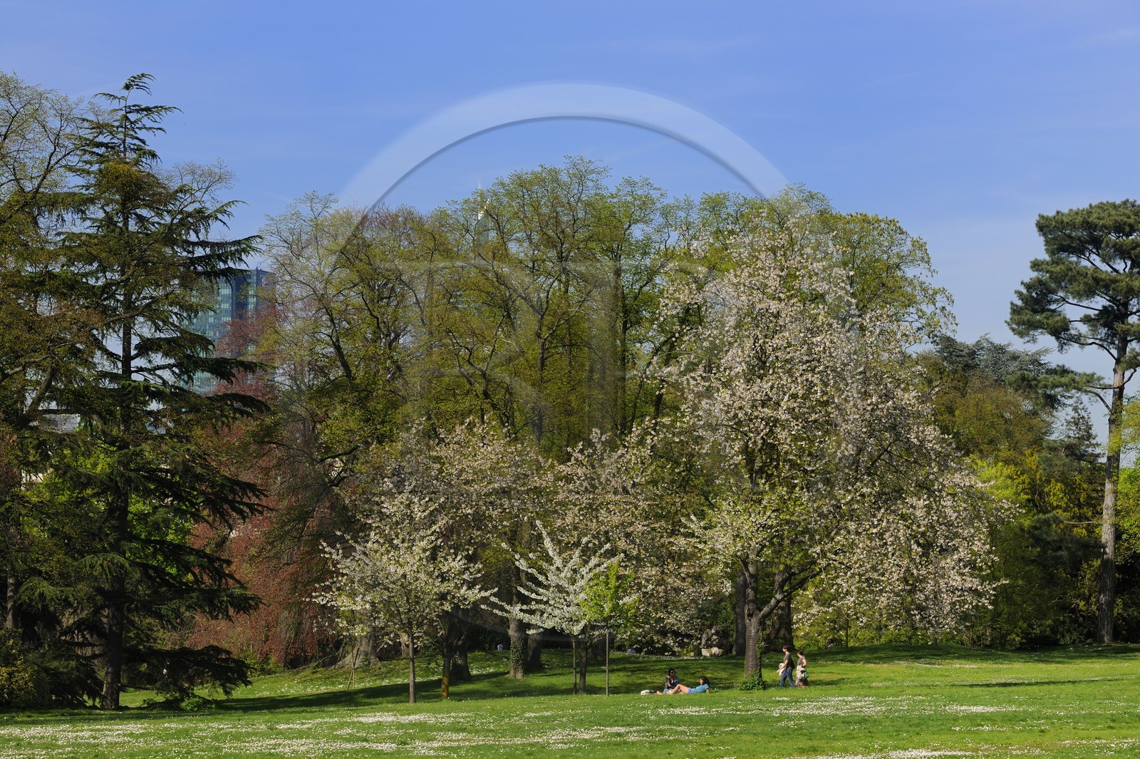 France, Paris (75), le Bois de Boulogne, parc de Bagatelle