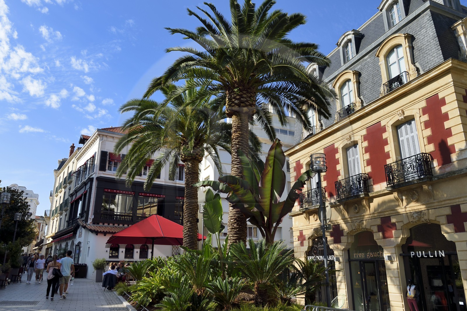 France, Pyrénées-Atlantiques (64), Pays-Basque, Biarritz, brasserie Le Royalty place Georges Clemenceau