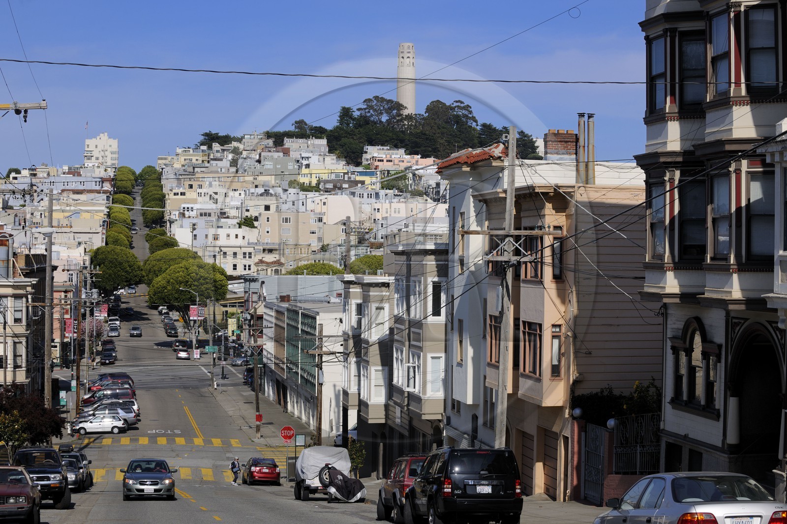 Etats-Unis, Californie, San Francisco, Lombard street à cheval entre le quartier de Russian Hill et de North Beach