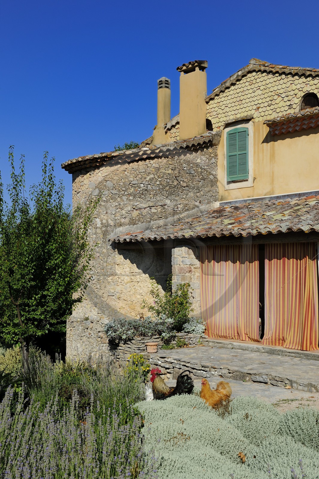 France, Var (83), Provence Verte, Bras, vers Saint-Maximin-la-Sainte-Baume, la maison d'hôtes Le Peyrourier, une campagne en Provence