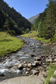 France, Hautes Pyrenees, Saint Lary Soulan, Rioumajou valley, the river Neste de Rioumajou