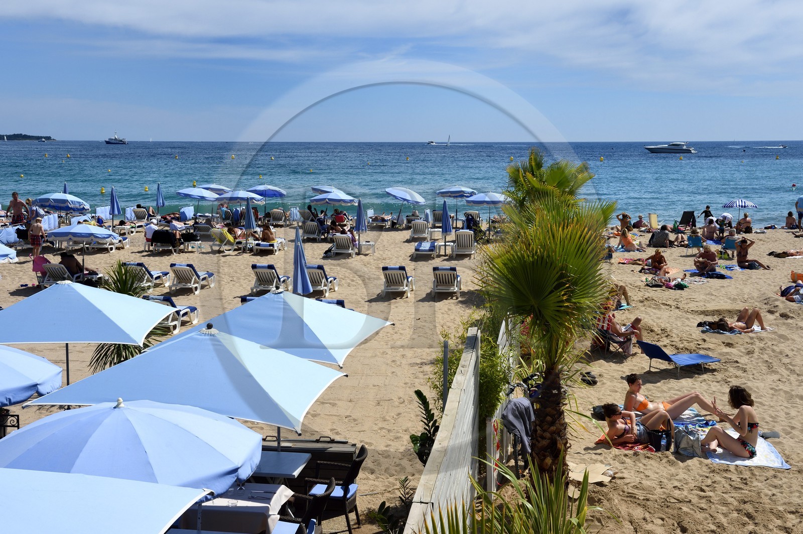 France, Alpes-Maritimes (06), Cannes, plage de la Croisette