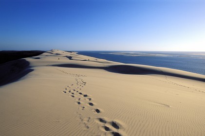 France, Gironde (33), Bassin d'Arcachon, empreintes de pas au sommet de le dune du Pilat