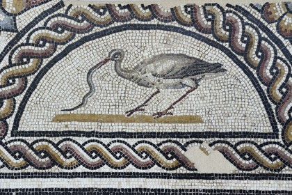 France, Rhône (69), Saint-Romain-en-Gal, musée gallo-romain de Saint-Romain-en-Gal, détail du pavement cratères et oiseaux datant de la fin du IIème siècle, mosaïque représentant un échassier qui mange un serpent