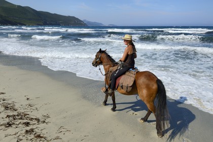 France, Haute-Corse (2B), Nebbio, désert des Agriates, Anse de Peraiola, cavalière sur la plage d'Ostriconi